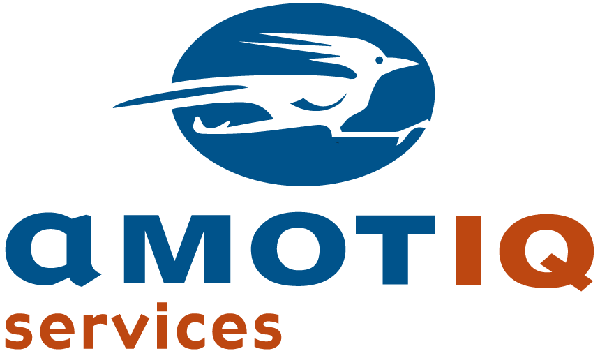 amotIQ services logo